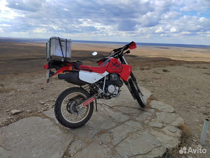 Xr650l