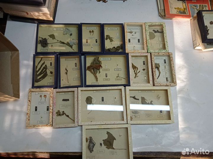 Пособия по биологии, зоологии СССР