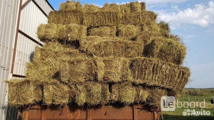 Солома и сено отличного качества