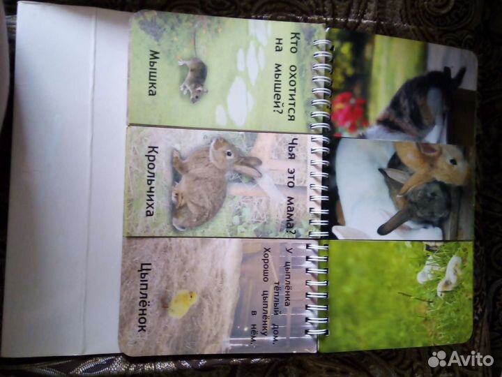 Развлекательная книга с карточками для малышей