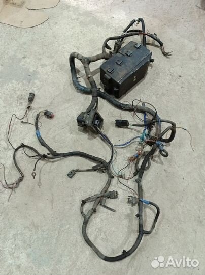 Коса моторная(проводка) Ford Focus