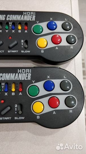 Hori fighting commander