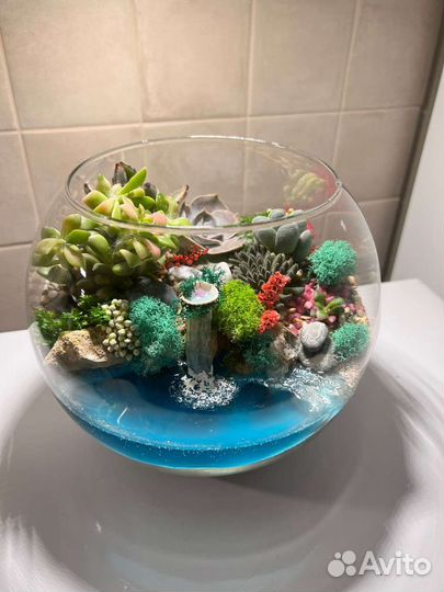 Флорариум подарок 1 сентября
