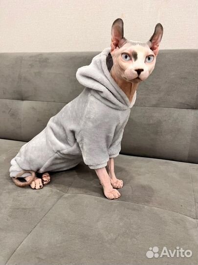 Сфинкс эльф вязка