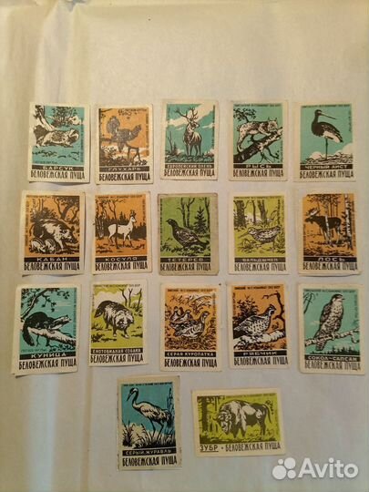 Спичечные этикетки СССР. Беловежская пуща