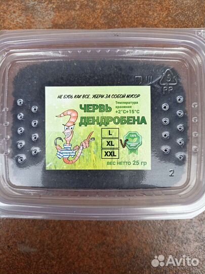 Черви Дендробена