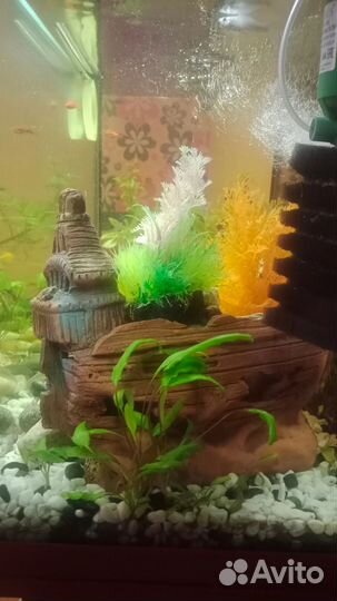 Аквариум с тумбой 150л