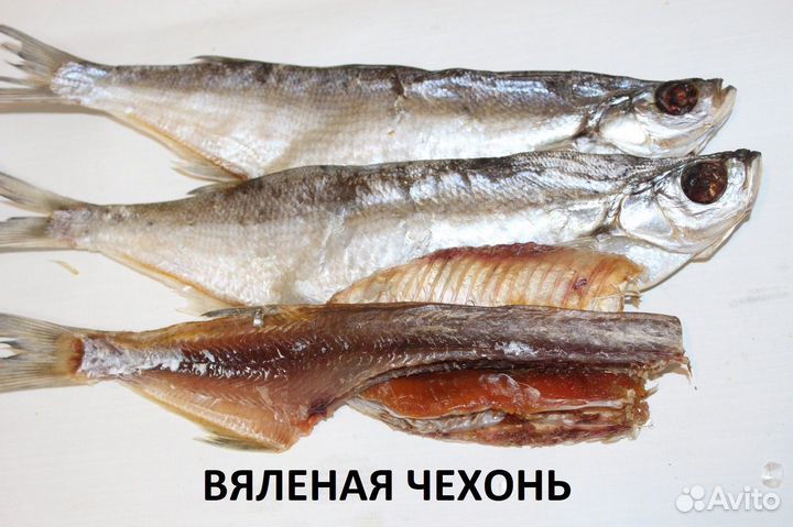 Астраханская вяленая чехонь/Доставка