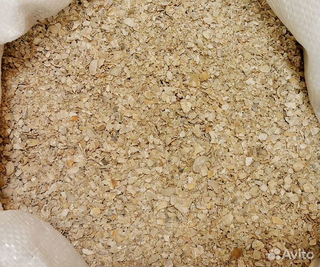 Ракушка для кур морская оптом и в розницу