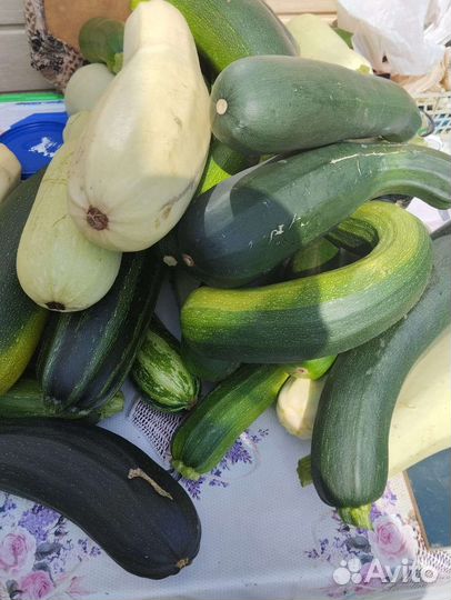 Кабачки свежие