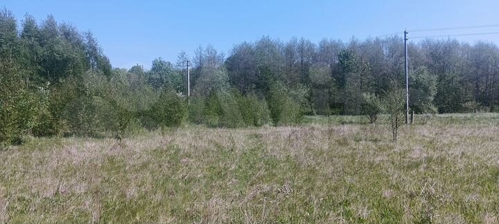 Участок 10 сот. (ИЖС)