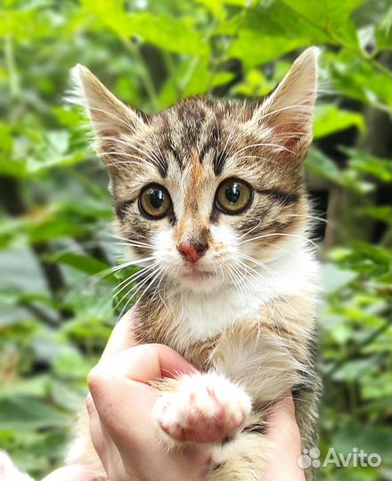 Очаровашка девочка