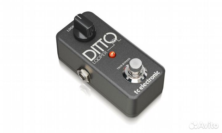 Ditto looper TC electronic