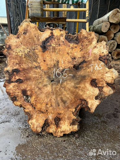 Слэб дерева