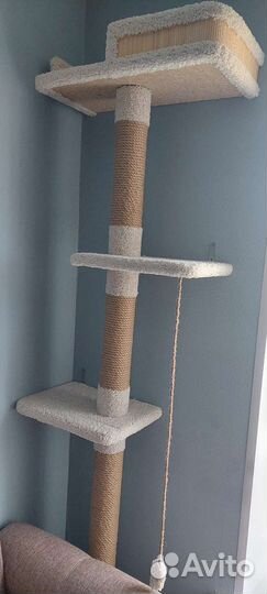 Когтеточка домик для кошки бу