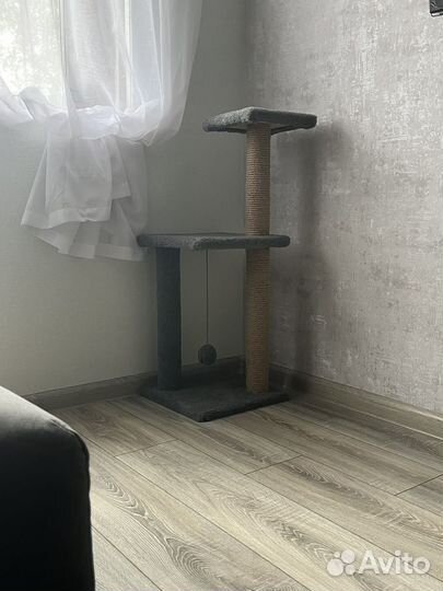 Когтеточка для кошек