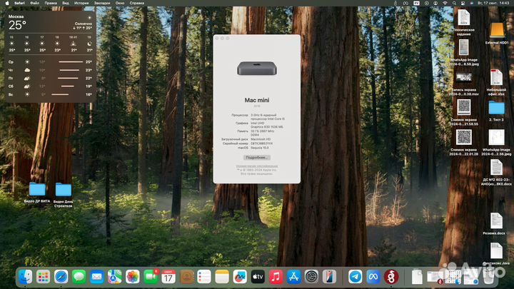 Apple mac mini 2018 /256/32