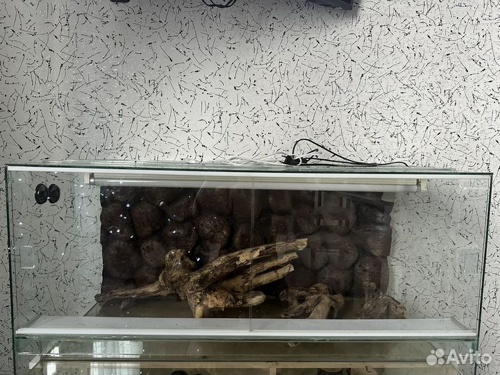 Террариум для рептилий