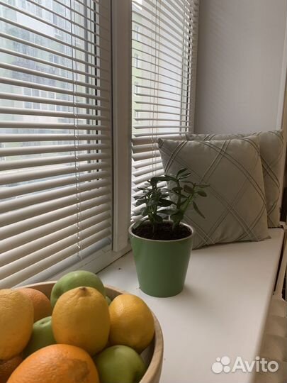 Аренда зала для танцев