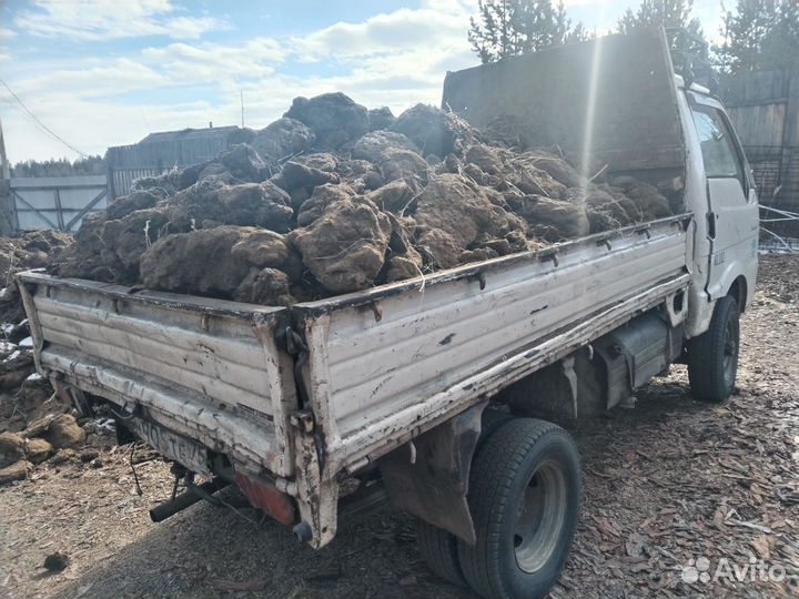 Навоз перегной коровий