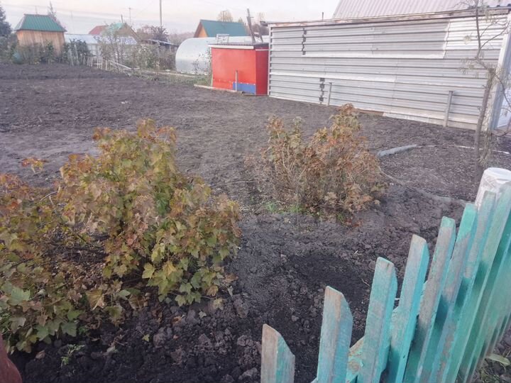 Дача 30 м² на участке 10 сот.