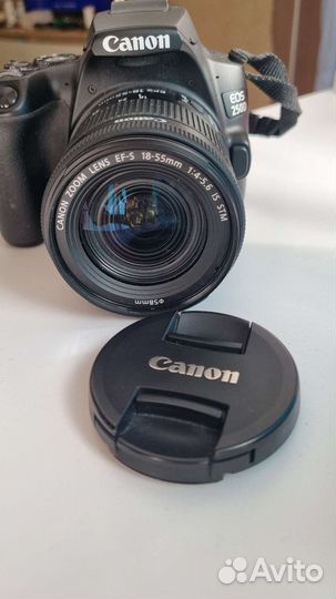 Canon eos 250d kit
