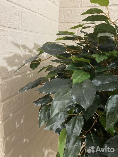 Искусственное дерево дом кафе ресторан офис