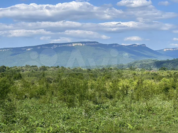 Участок 40 сот. (СНТ, ДНП)