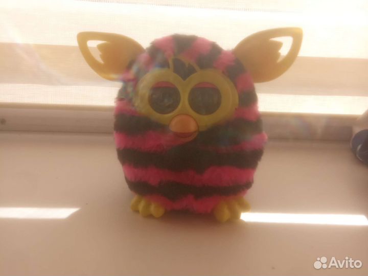 Furby boom