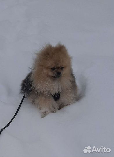 На вязку