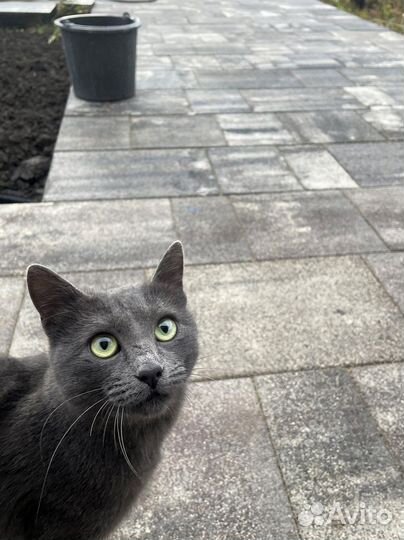 Брусчатка заказ от 120 м2