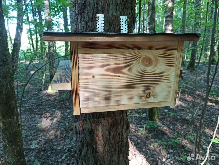 Бельчатник