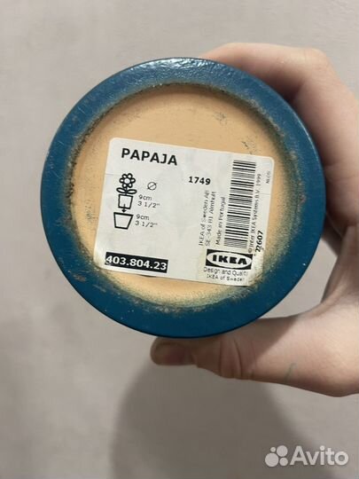 Искуственное растение,fejka IKEA