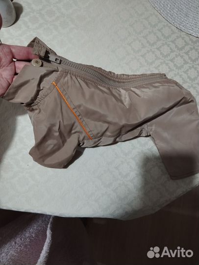 Дождевик для маленьких собак