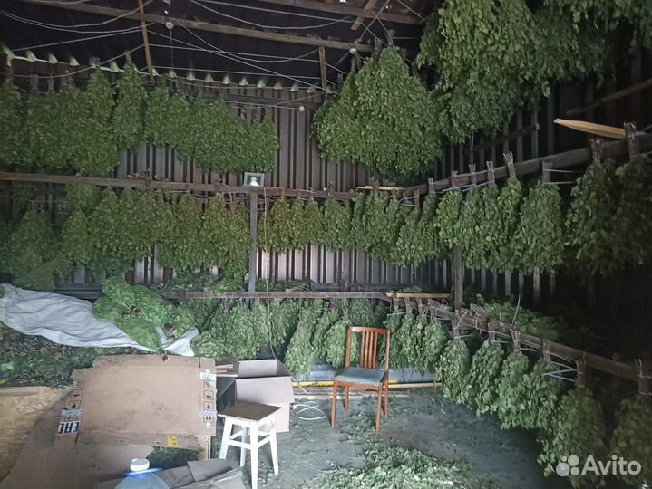 Травы донник полынь веник для бани опт