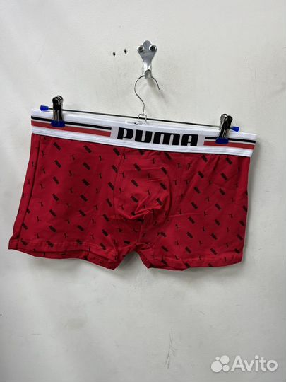 Трусы мужские брендовые