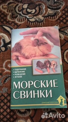 Книга Морские свинки