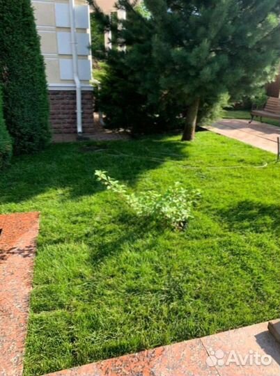 Укладка рулонного газона+Ландшафт участка под ключ