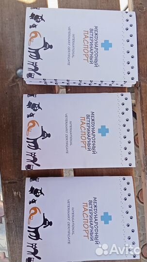 Щенок ротвейлера