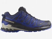 Кроссовки мужские Salomon XA Pro 3D v9 GTX