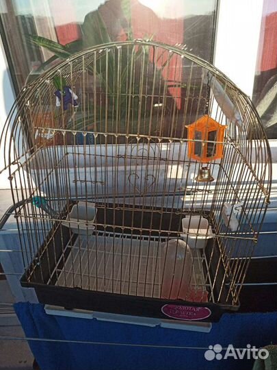 Клетка для волнистого попугая или хомяка. Размер 4
