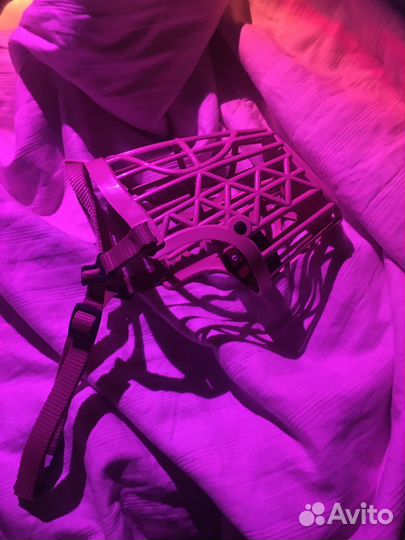 Намордник для собак