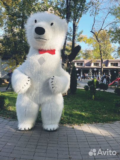 Белый мишка/Стас михайлов ростовая кукла