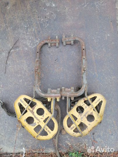 Когти Лазы монтерские