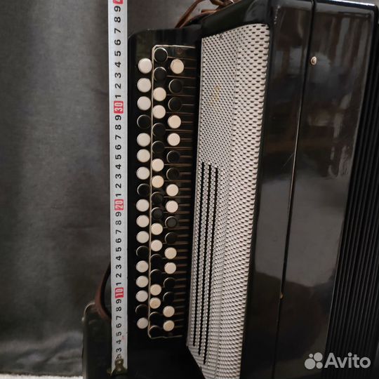 Баян тульский