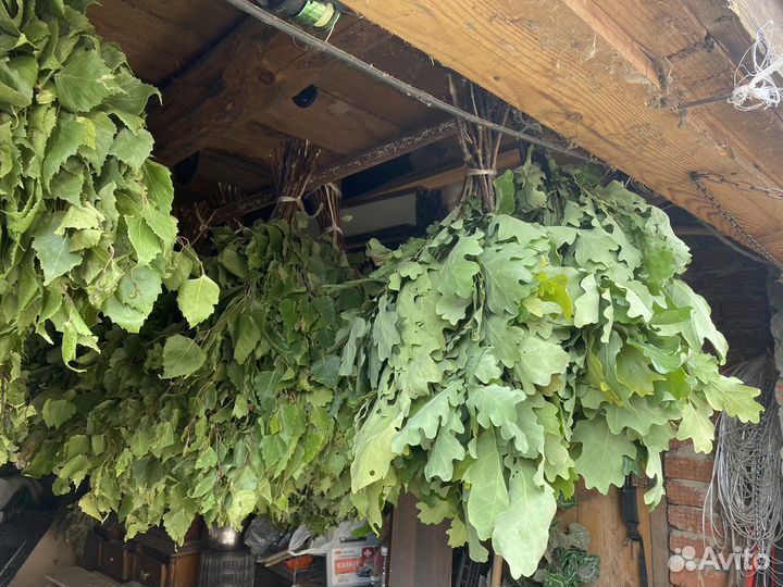 Веники для бани