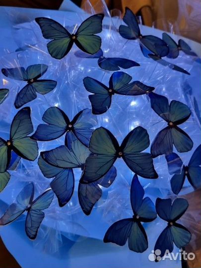 Букет из бабочек