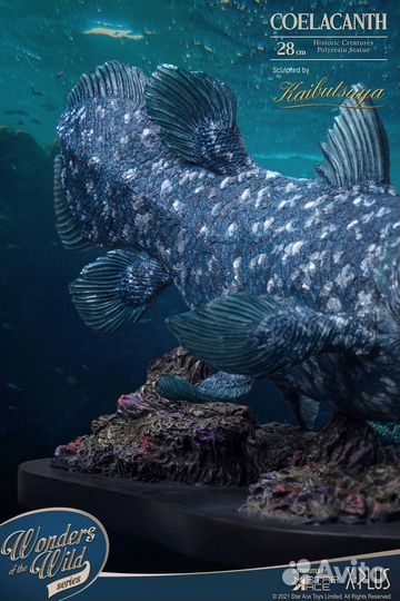 Coelacanth