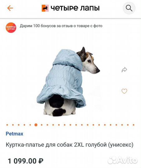 Одежда для собак