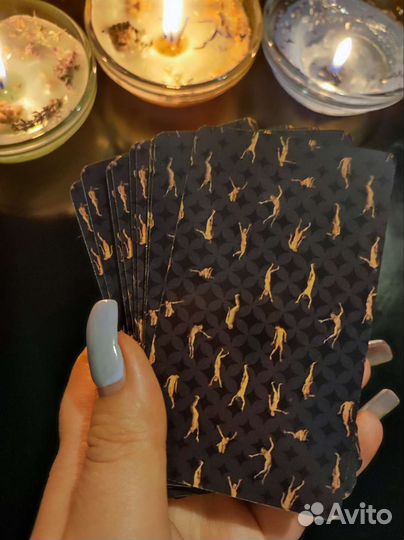 Taro сумасшедшего дома